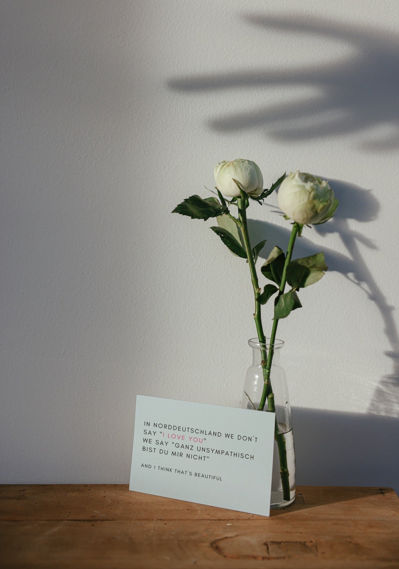 Postkarte Nicht ganz unsympatisch
